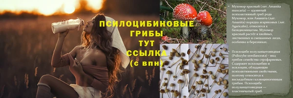 a pvp Балабаново