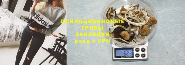 гашик Белоозёрский