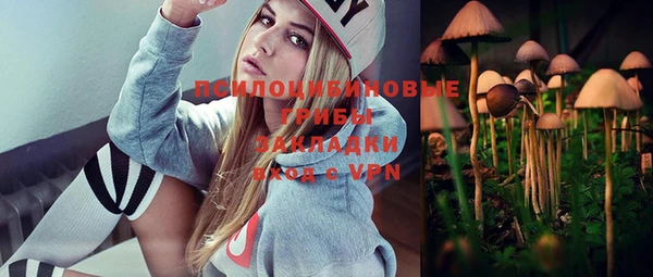 гашик Белоозёрский