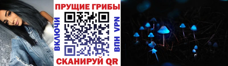 Галлюциногенные грибы прущие грибы  Белогорск 