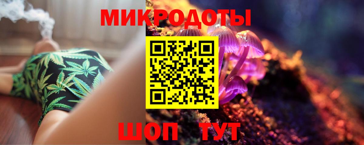 Псилоцибиновые грибы Cubensis  Вход с VPN  Белогорск 